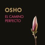 El-camino-perfecto-acento-castellano-2