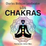 Los-Chakras